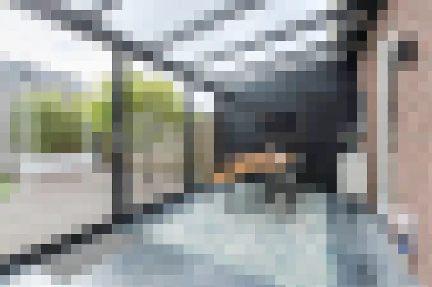 Teilingen 58 Oosterhout thumbnail 5