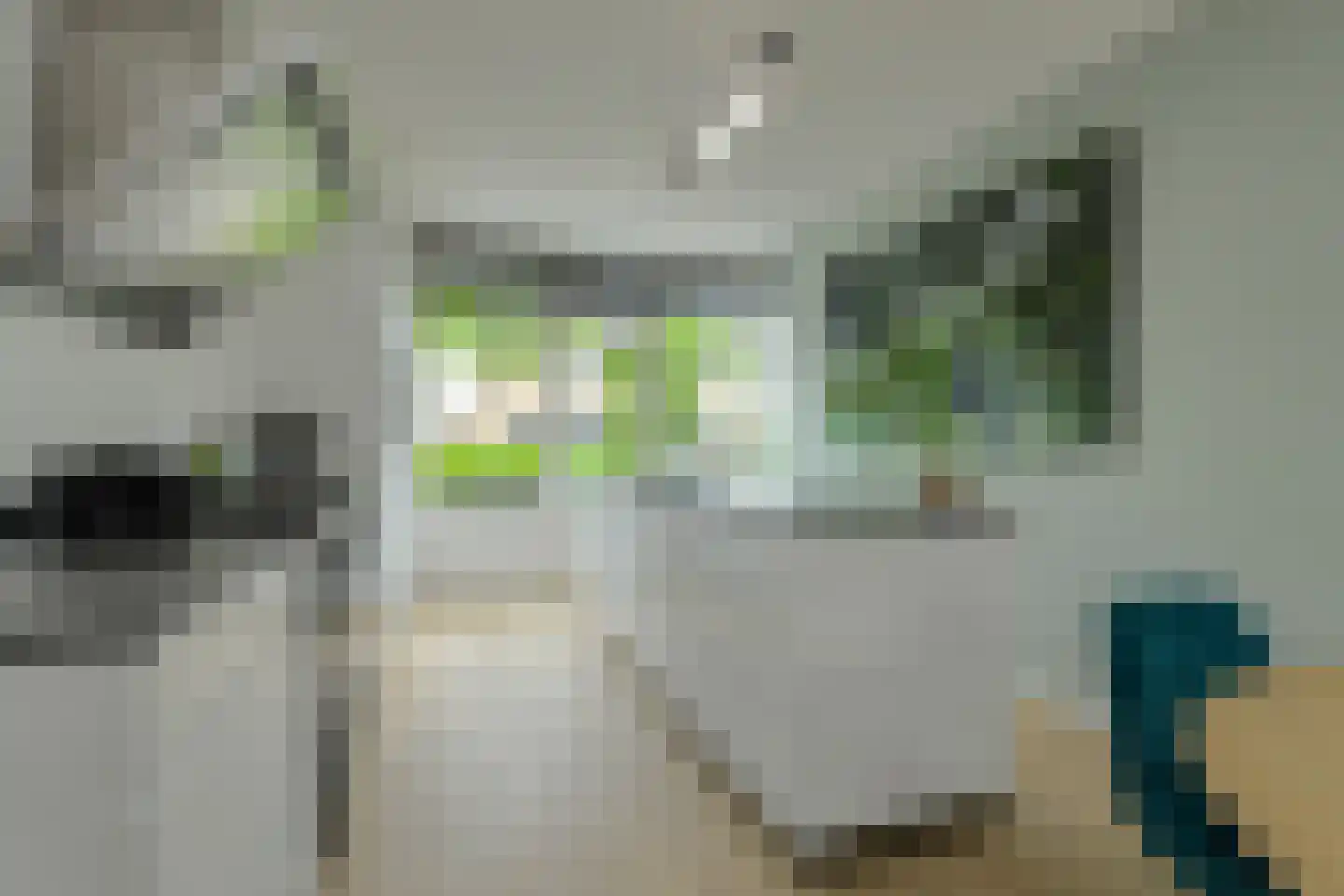 Teilingen 58 Oosterhout thumbnail 9