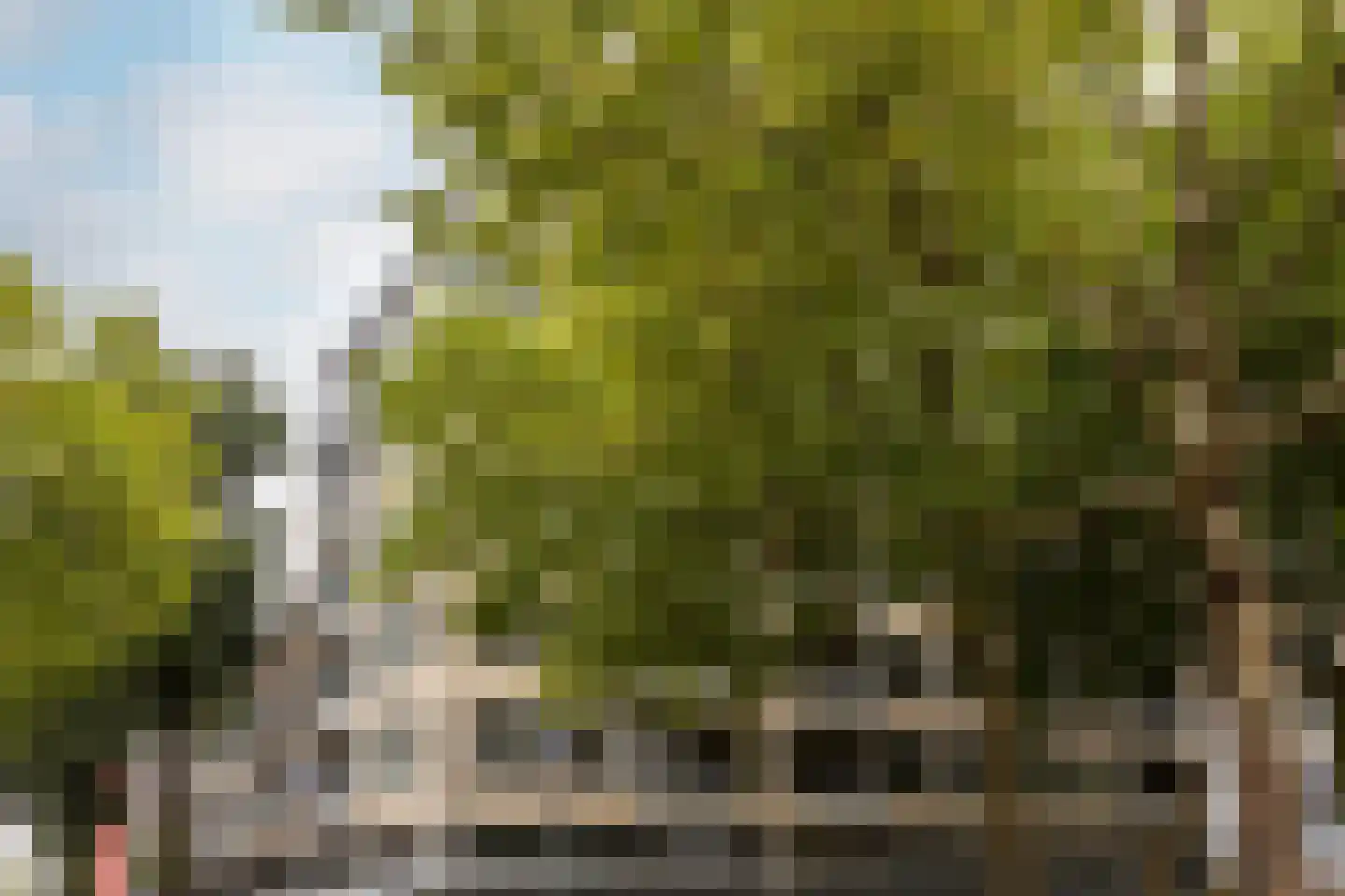Teilingerstraat 57 D Rotterdam thumbnail 6
