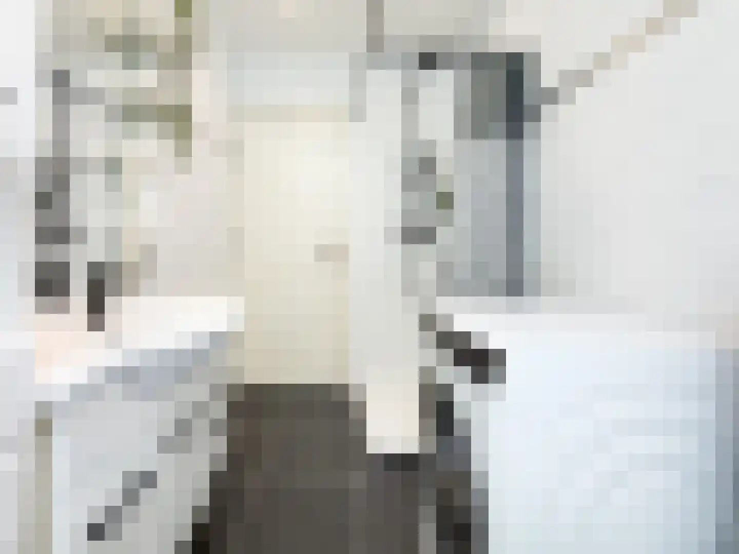 Teilingerstraat 87 A 01 Rotterdam thumbnail 22