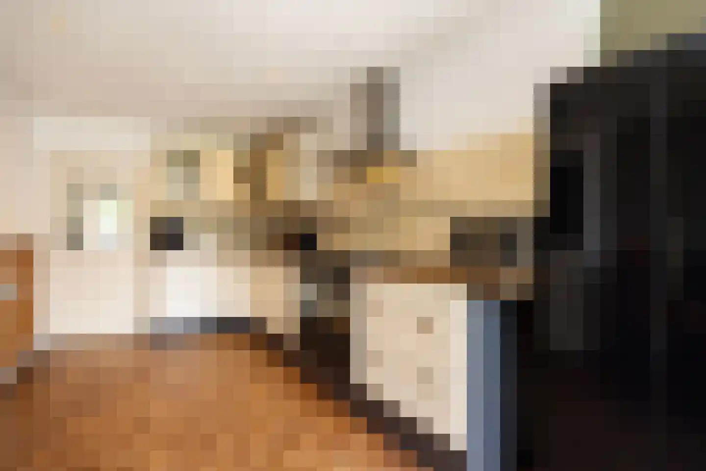 Teisterbandstraat 21 Kerkdriel thumbnail 12