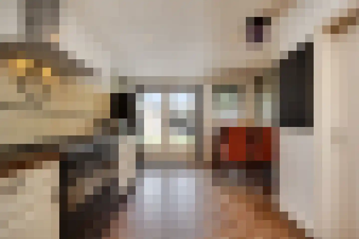 Teisterbandstraat 21 Kerkdriel thumbnail 13