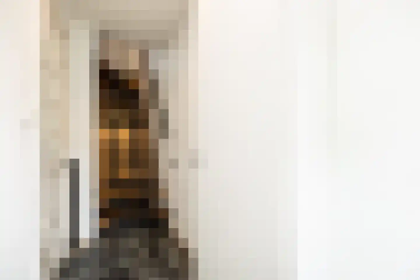 Teisterbandstraat 21 Kerkdriel thumbnail 17