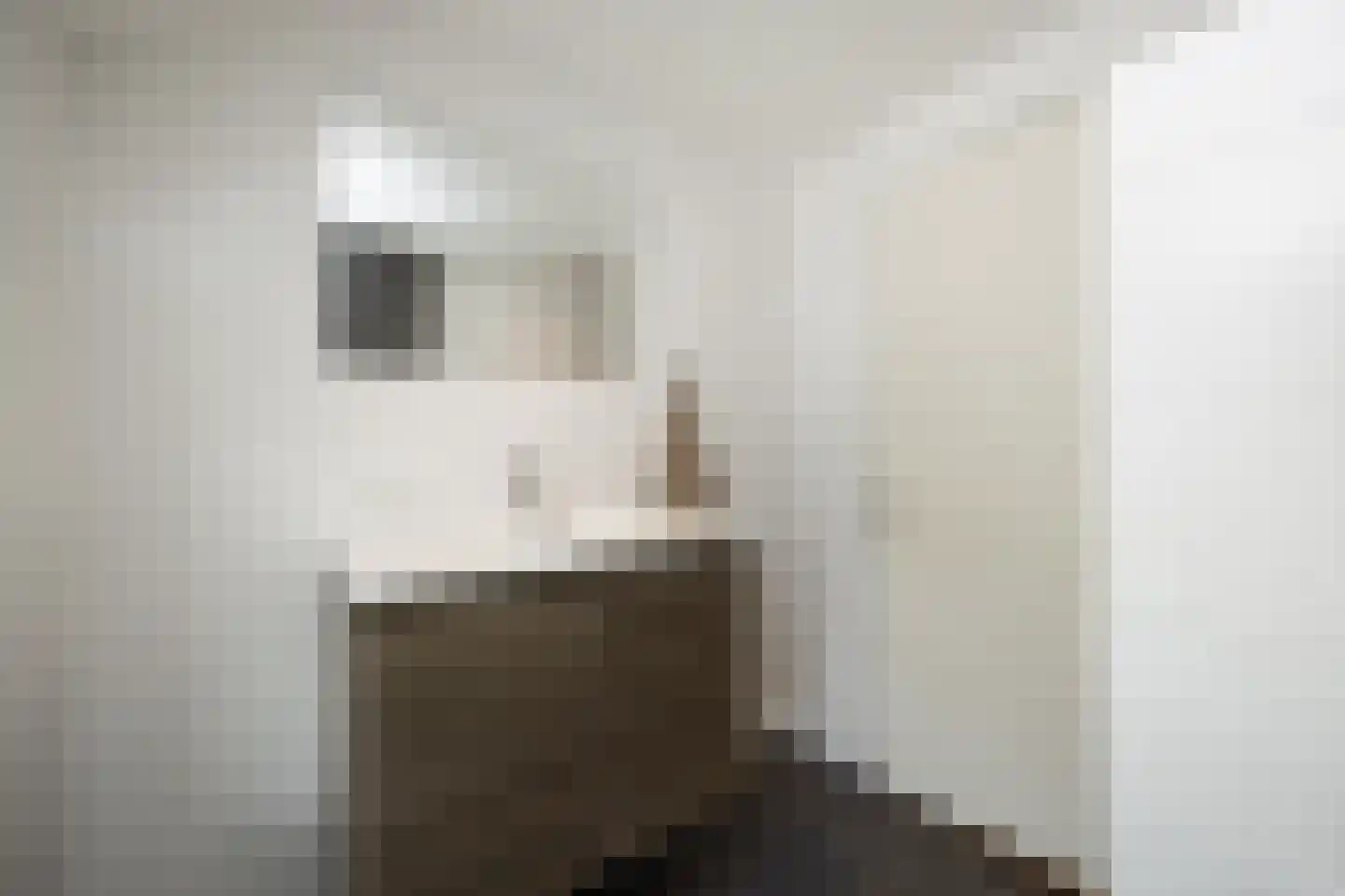 Teisterbandstraat 21 Kerkdriel thumbnail 19