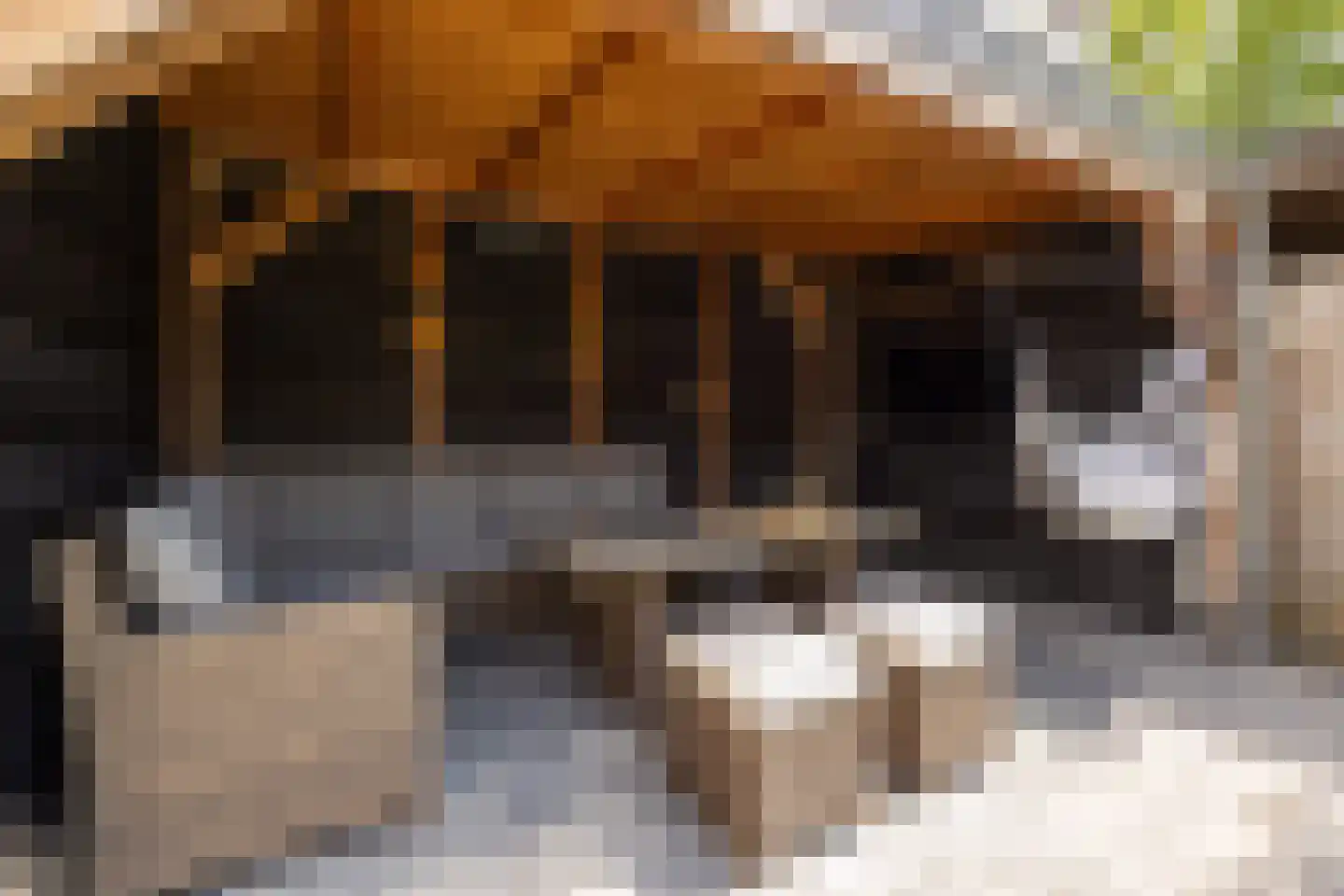 Teisterbandstraat 21 Kerkdriel thumbnail 31