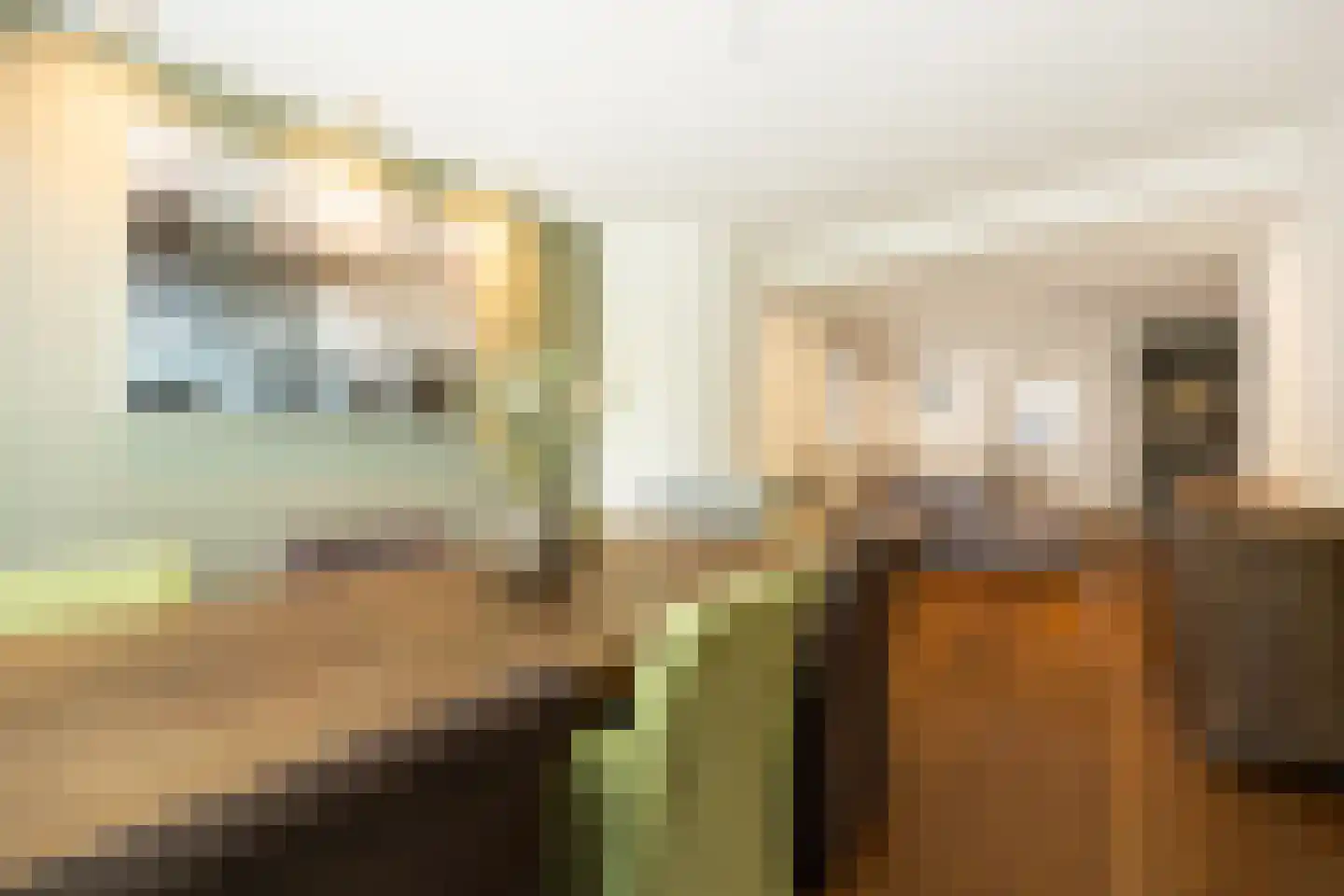 Teisterbandstraat 21 Kerkdriel thumbnail 8