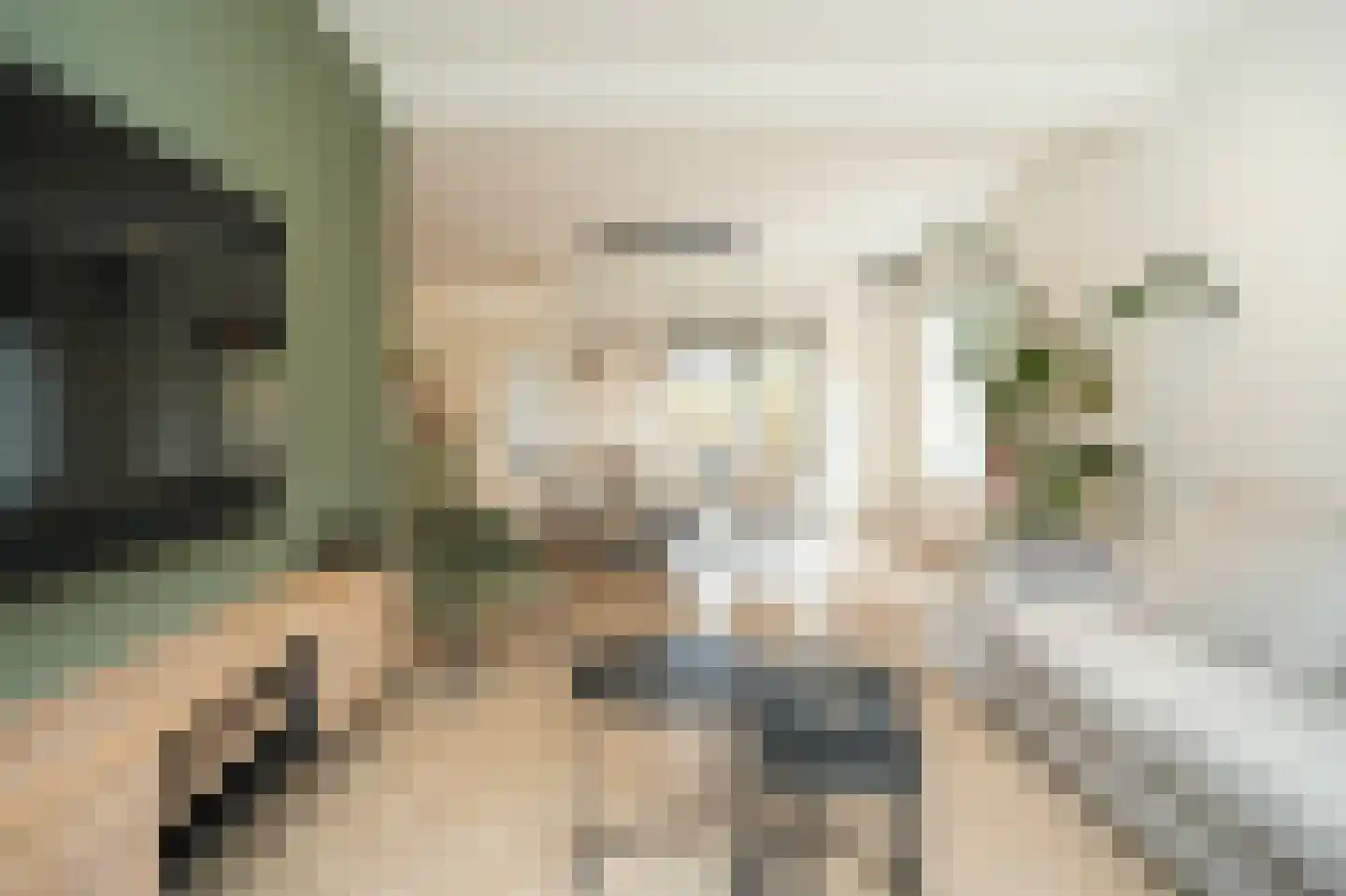 Teisterbandstraat 25 Kerkdriel thumbnail 13