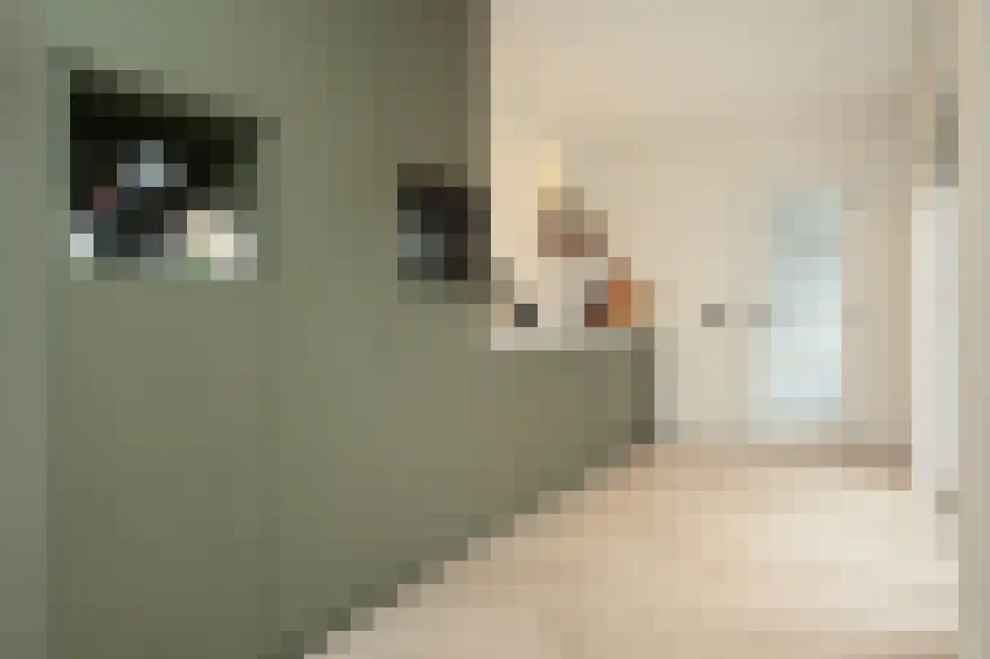 Teisterbandstraat 25 Kerkdriel thumbnail 20