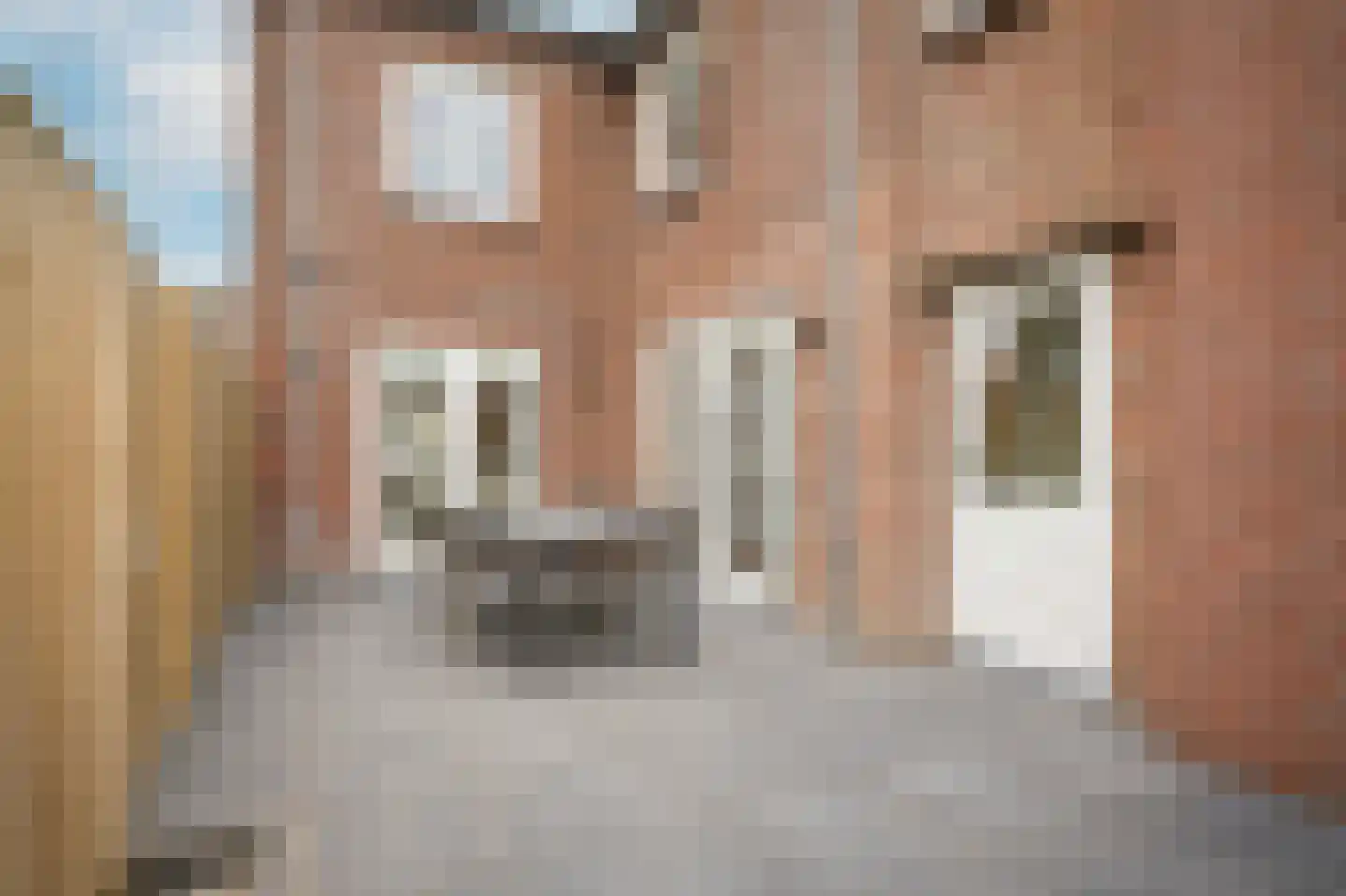 Teisterbandstraat 25 Kerkdriel thumbnail 36