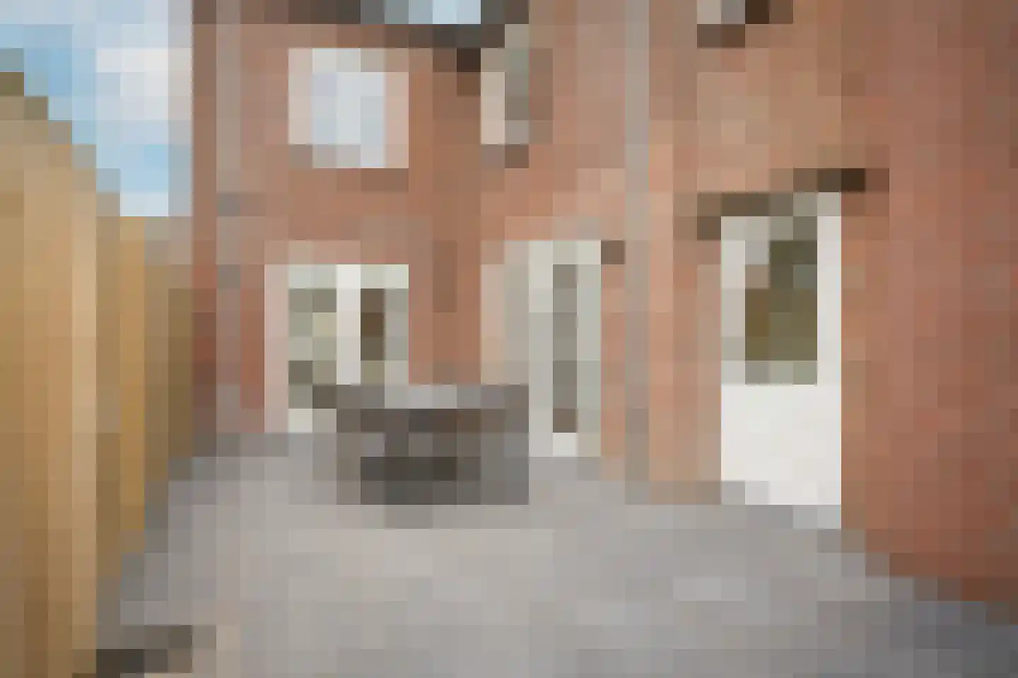 Teisterbandstraat 25 Kerkdriel thumbnail 5