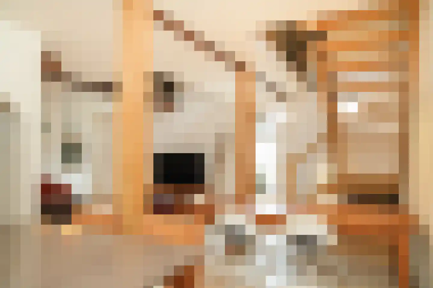 Teisterbandstraat 61 Kerkdriel thumbnail 20