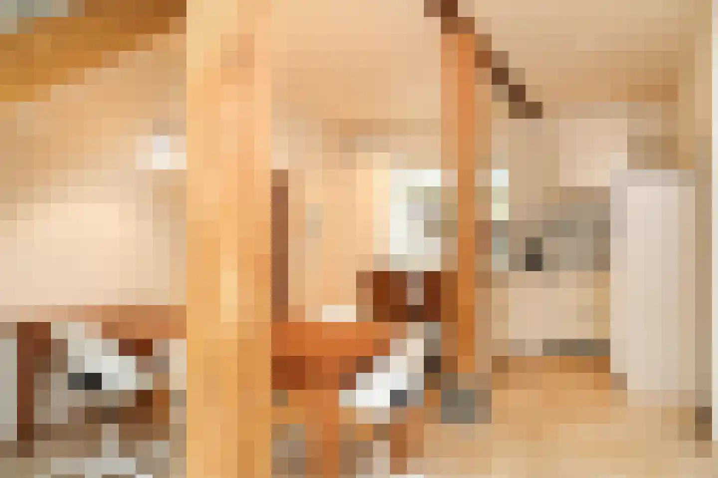 Teisterbandstraat 61 Kerkdriel thumbnail 21