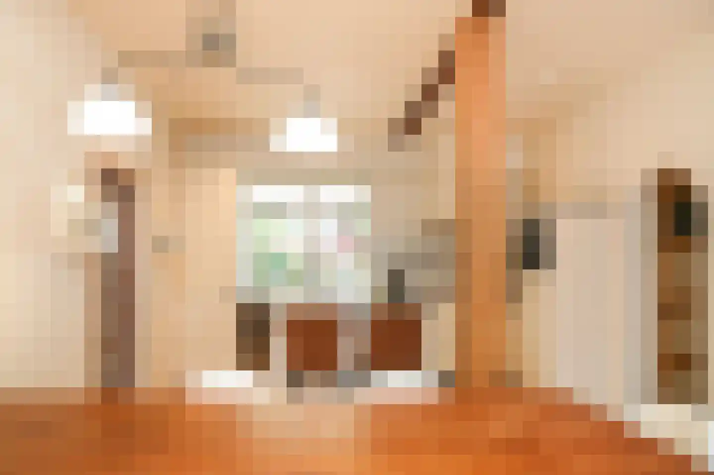 Teisterbandstraat 61 Kerkdriel thumbnail 25