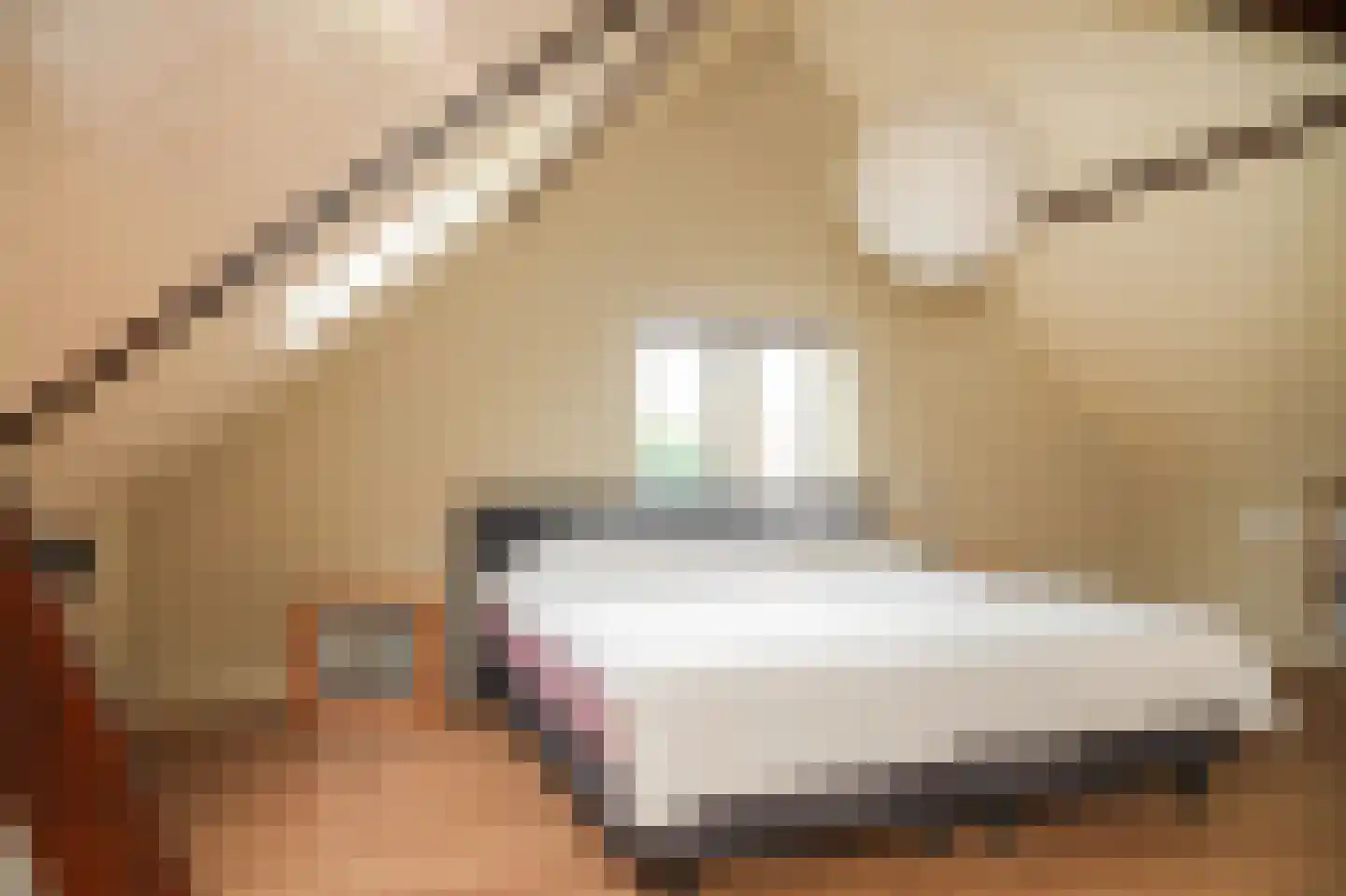 Teisterbandstraat 61 Kerkdriel thumbnail 35