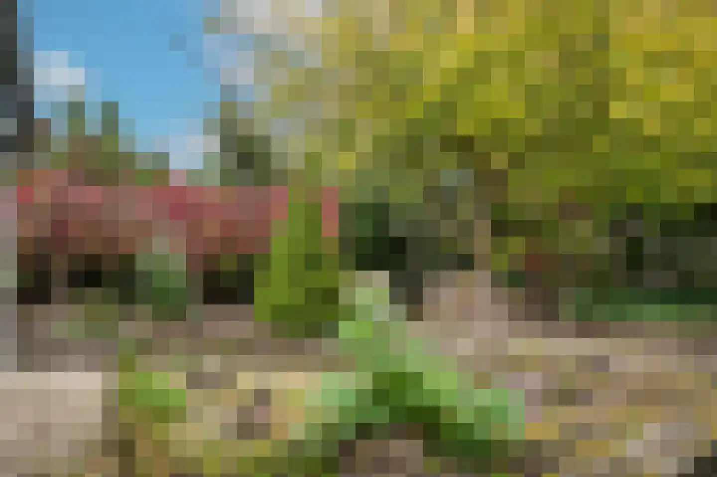 Teisterbandstraat 61 Kerkdriel thumbnail 52