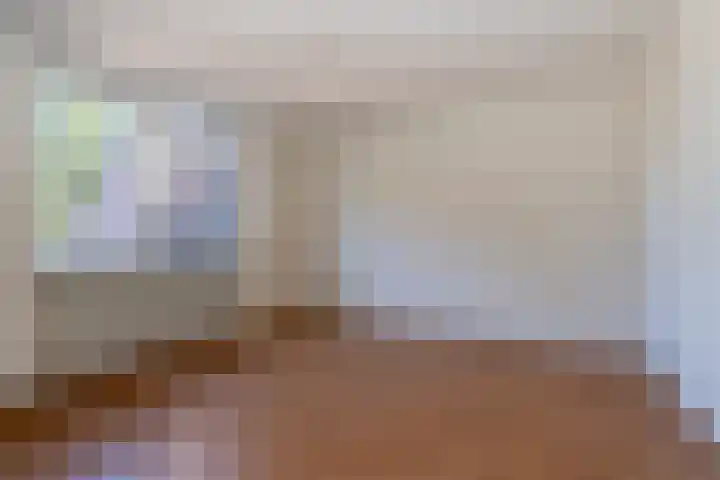 Teisterbant 4 Veendam thumbnail 14