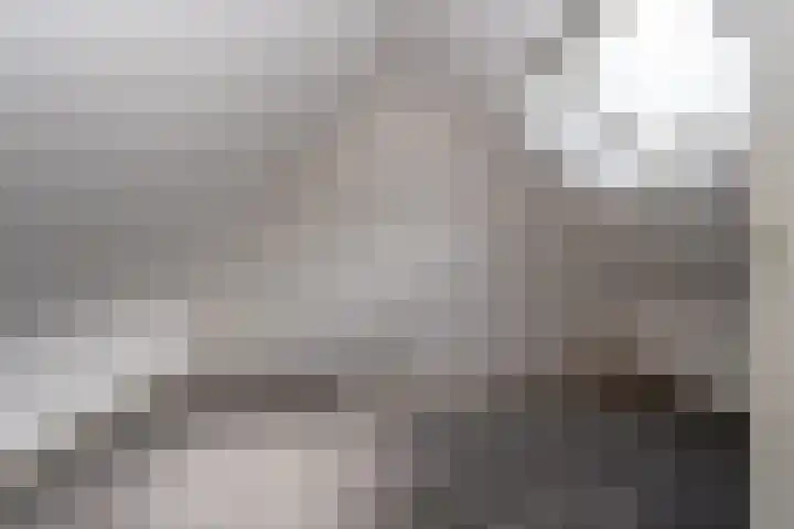 Teisterbant 4 Veendam thumbnail 29
