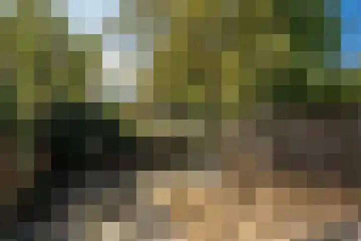 Teisterbant 4 Veendam thumbnail 32