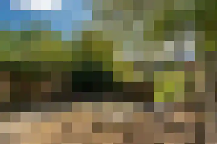 Teisterbant 4 Veendam thumbnail 33