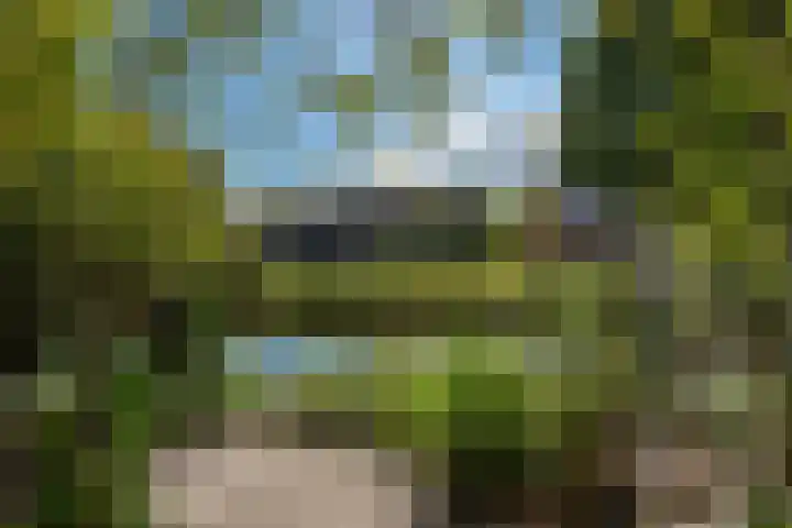 Teisterbant 4 Veendam thumbnail 34
