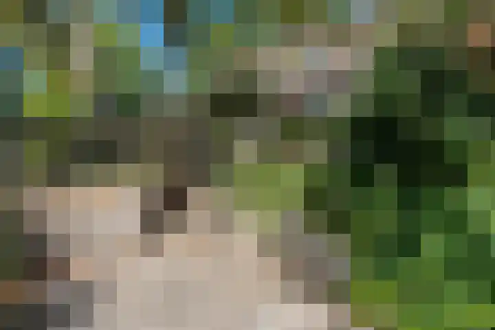 Teisterbant 4 Veendam thumbnail 35