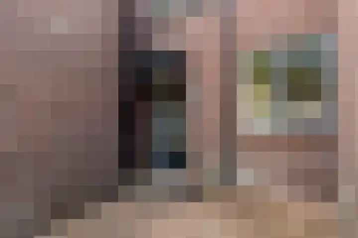 Teisterbant 4 Veendam thumbnail 38