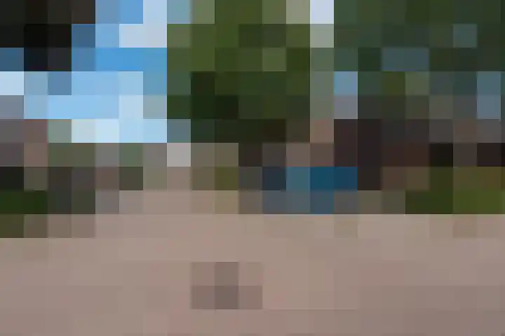 Teisterbant 4 Veendam thumbnail 39
