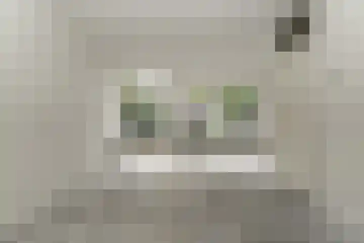 Teisterbant 4 Veendam thumbnail 4