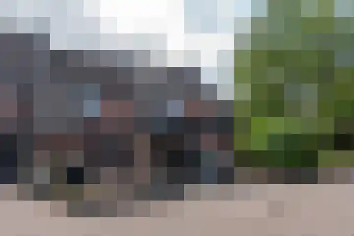 Teisterbant 4 Veendam thumbnail 41