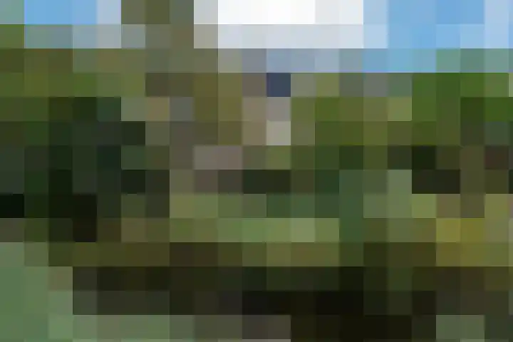 Teisterbant 4 Veendam thumbnail 42