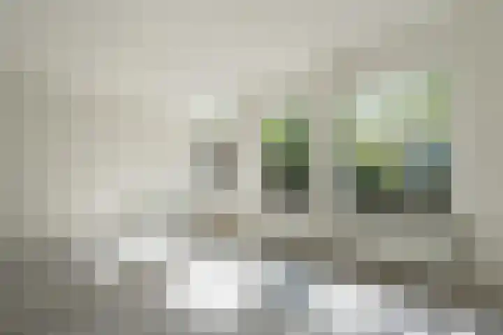 Teisterbant 4 Veendam thumbnail 6