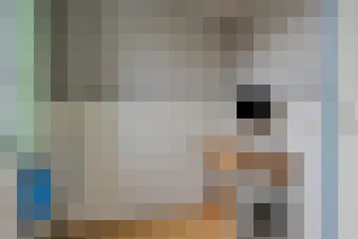 Teisterbant 6 Veendam thumbnail 32