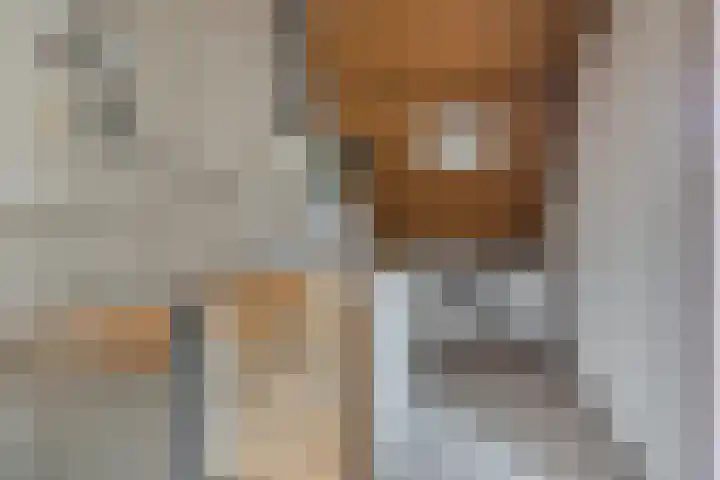 Teisterbant 6 Veendam thumbnail 33