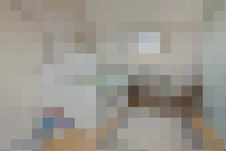 Teisterbant 6 Veendam thumbnail 34