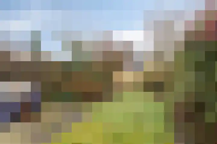 Teisterbant 6 Veendam thumbnail 36