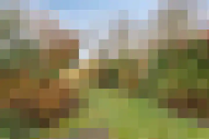 Teisterbant 6 Veendam thumbnail 37