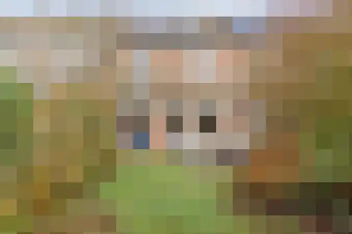 Teisterbant 6 Veendam thumbnail 39