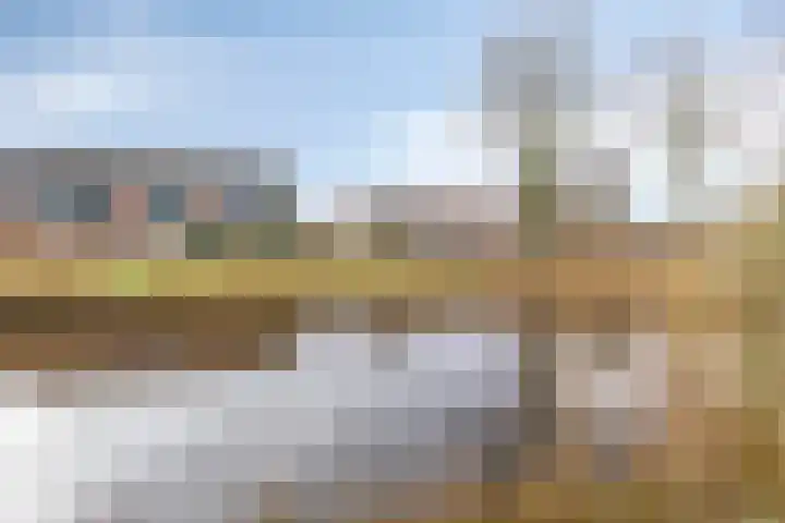 Teisterbant 6 Veendam thumbnail 40
