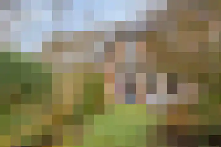 Teisterbant 6 Veendam thumbnail 41