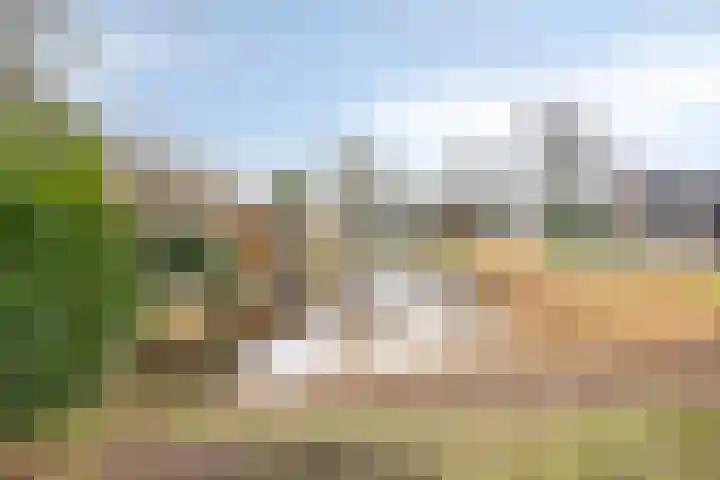 Teisterbant 6 Veendam thumbnail 42