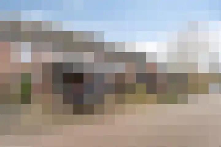 Teisterbant 6 Veendam thumbnail 6