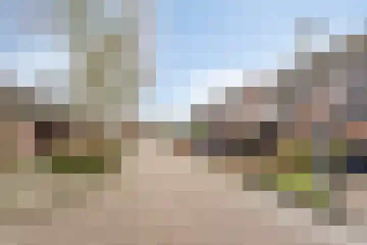 Teisterbant 6 Veendam thumbnail 7