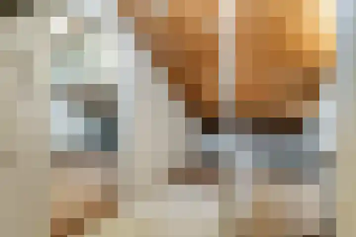 Teisterbantlaan 3 Tiel thumbnail 23