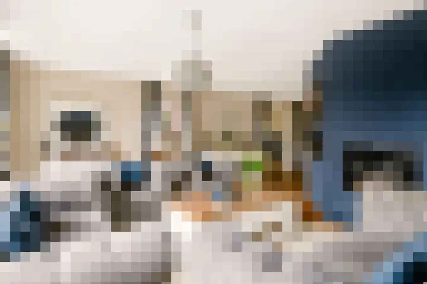 Teisterbantstraat 11 Kerk-Avezaath thumbnail 13
