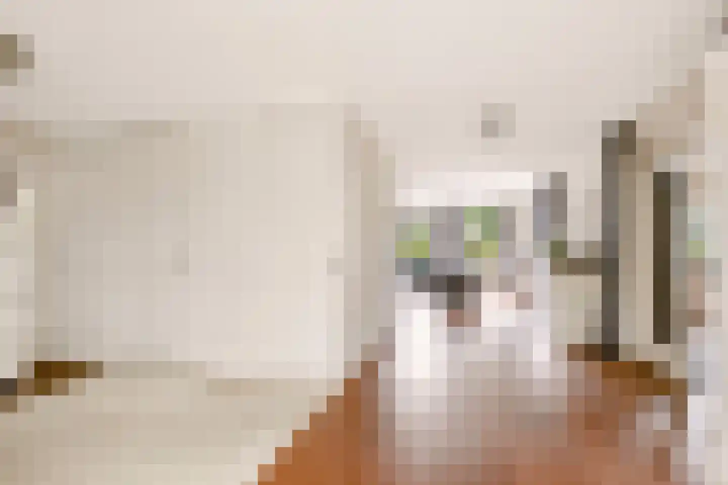 Teisterbantstraat 11 Kerk-Avezaath thumbnail 15