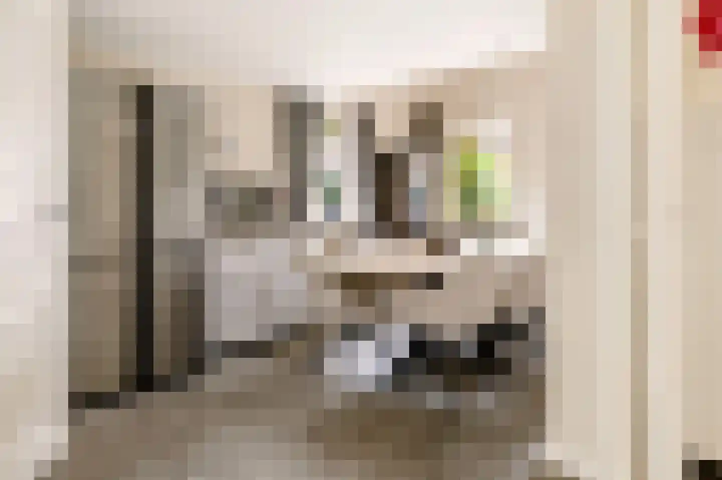 Teisterbantstraat 11 Kerk-Avezaath thumbnail 20