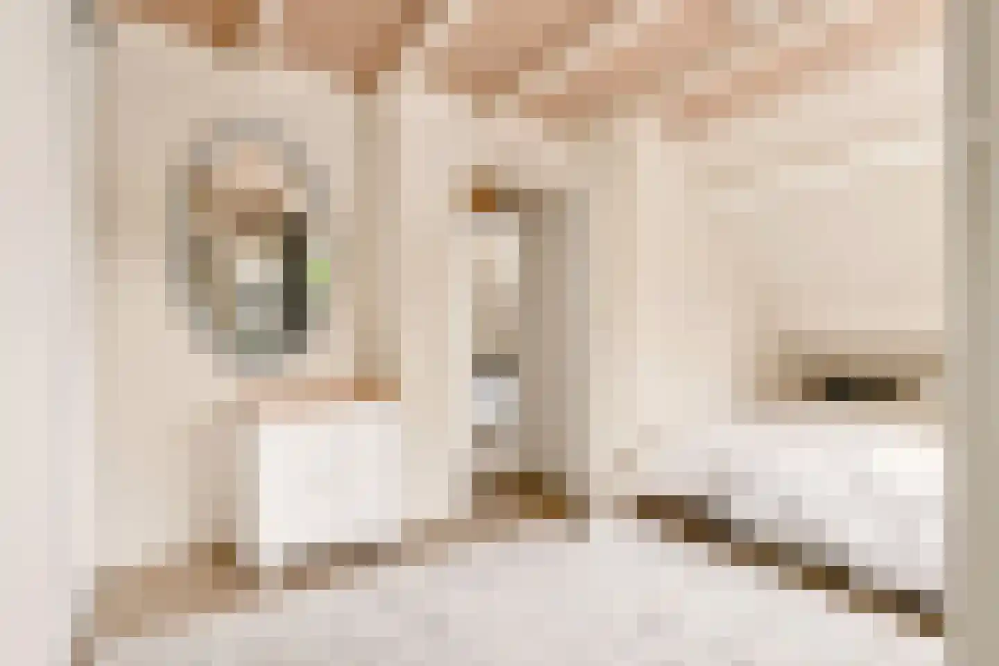 Teisterbantstraat 11 Kerk-Avezaath thumbnail 29