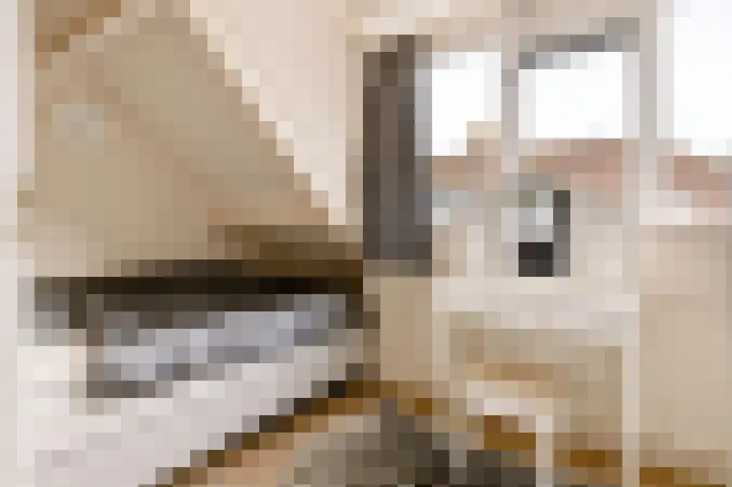 Teisterbantstraat 11 Kerk-Avezaath thumbnail 31