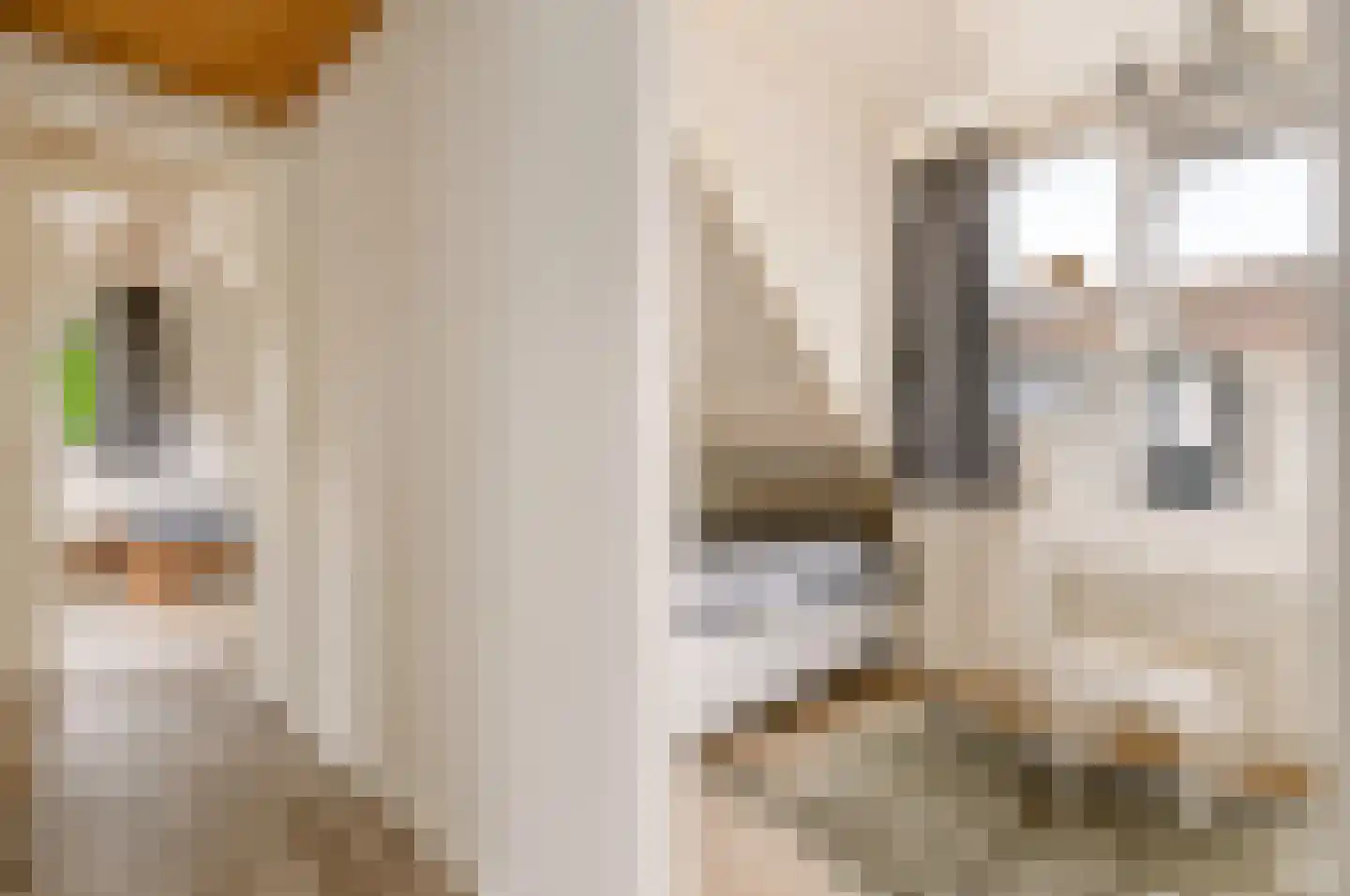 Teisterbantstraat 11 Kerk-Avezaath thumbnail 33