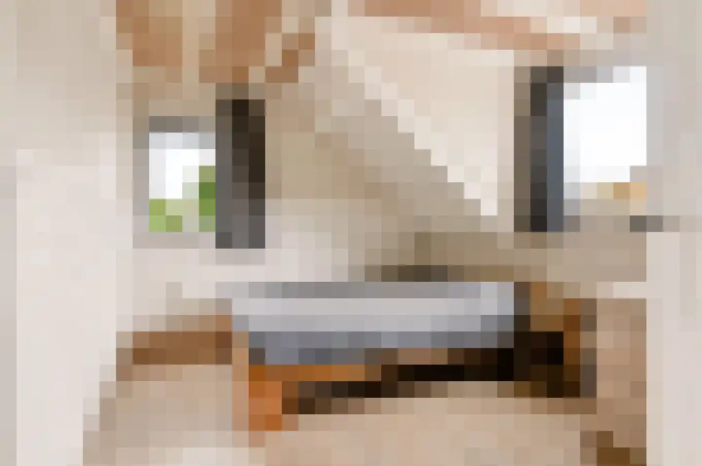 Teisterbantstraat 11 Kerk-Avezaath thumbnail 34